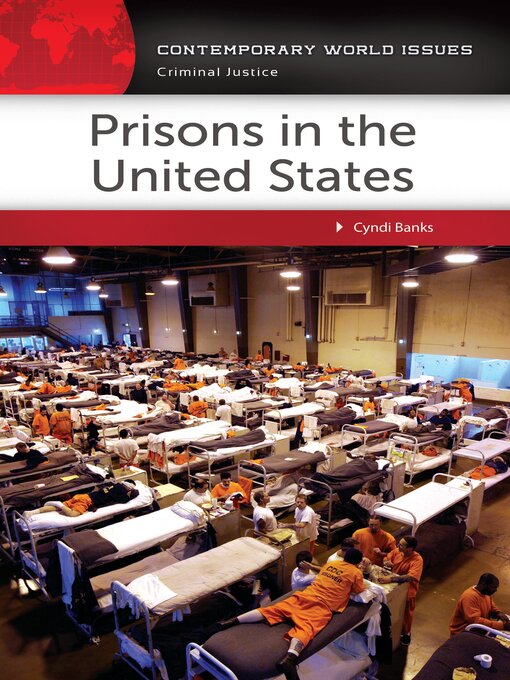 Cover image for Prisons in the United States